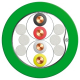Leoni V45493 EIB-KNX Gecertificeerd J-H(ST)2Y 2X2X0.8 GN (100 meter)